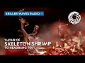 Download Lagu 1 Hour of Skeleton Shrimp to Headbang to | Metal Music | Monterey Bay Aquarium Kriller Waves Radio