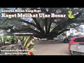 Download Lagu JALAN JALAN KE KOTA HUICHANG DI CHINA 