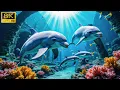Download Lagu Exotic Deep Sea Creatures in 8K HDR | Stunning Underwater World \u0026 Marine Life Exploration