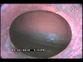 9xx Oriole Dr Apple Valley Mn 55124