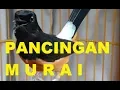 Download Lagu PANCINGAN SUARA BURUNG MURAI BATU LAMPUNG BOCOR