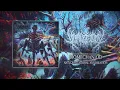 Download Lagu VITALECTOMY - ANTI GRAVITATIONAL ANNIHILATION [OFFICIAL EP STREAM] (2025) SW EXCLUSIVE