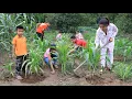 Download Lagu Mommy Sreypov: Big family enjoy gardening together in the vegetables garden - Family food cooking