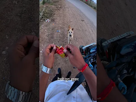 “बस एक Dog को बुलाकर दूध-बिस्किट खिलाया था… फिर अचानक 😱🐶” Dog Helping video | #shorts #help #dog