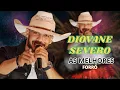Lagu VEM PRA FOLIA DO DIOVANE SEVERO 2026 MP3 AS MELHORES DOMINGOUU AS MELHORES SUCESSO 2026 SHOWS TOP