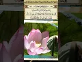 Download Lagu quran 112 surah al ikhlas