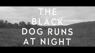 Download The Black Dog Runs at Night - A Film by Nick Cotrufo MP3