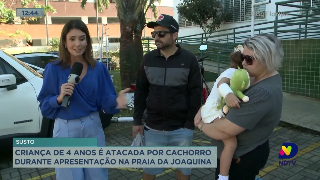 Criança de quatro anos é atacada por cachorro durante apresentação na Praia da Joaquina