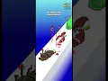 Fruits gaming