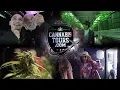 Go on a Colorado Cannabis Tour Watch 420 grow tours marijuana class hotels for Denver Week