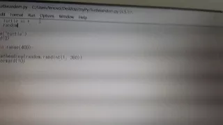 Python code Turtle random draw line