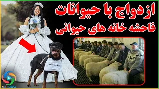 از ازدواج با حیوانات تا فاحشه خانه های حیوانی شوکه خواهید شد 