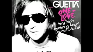 David Guetta feat Akon - Sexy Bitch