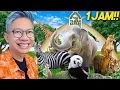 Download Lagu VLOG 1 JAM KE TAMAN SAFARI BOGOR!!