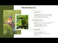 102780731 - Bird Classification Assignment 1