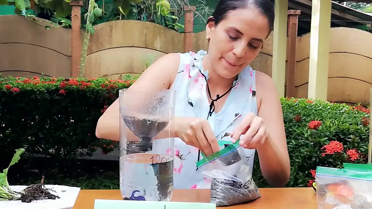 Experimento Ecosistema Artificial. UH