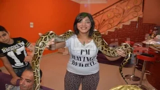 حفل الفنانة صوفيا شاهين مايو 2016 