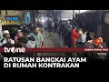 Download Lagu HOROR! Ratusan Bangkai Ayam Buat Gempar Warga | Kabar Utama Pagi tvOne