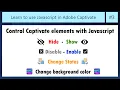 Javascript in Adobe Captivate Control Captivate elements with JavaScript