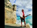 Book on the Shelf - Jimmy Buffett