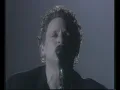 Fleetwood Mac - Big Love (Live: The Dance)