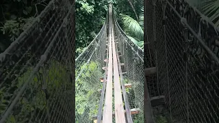 Would YOU Cross This Bridge?! 😳🌴