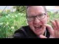 Learn Angular 2 in 21 Days Day 11 Routing Essentials