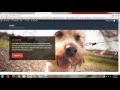 eVision Corporate WordPress Theme Tutorial 2