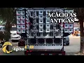 Download Lagu ACÁCIO BAÚ DAS ANTIGAS COM MÉDIO ALTERADO–PARA TOMA UMA🍺