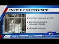 Indiana animal shelters to offer pet adoptions for 50 or less in July
