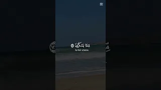 ولن صبرتم لهو خير الصابرين قرآن المصحف اكسبلور 