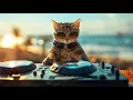 DJ Miaww Live - Chillout Lounge 2025 | Deep House Vibes for Beach Relaxation 🏖️🌞