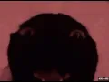 Kyokeru and gang sing DISORDER SOUND WARNING