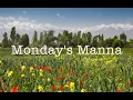 Weekly Dose Monday August 17 2026