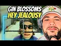 FIRST TIME HEARING Gin Blossoms - Hey Jealousy REACTION