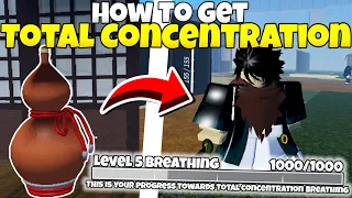 How To Get Complete Total Concentration Project Slayers