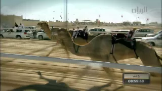 شيلة الشاعر صالح المانعه بمناسبة  مهرجان سمو أمير البلاد المفدى لسباق الهجن العربية الأصيلة دندنها