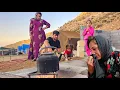 Download Lagu Caring for cows and the story of Sajjad promising to buy a house