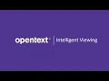 Intelligent Viewing - Providing an Accessible Viewing Experience