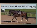Download Lagu How To Lunge A Horse When They Are Green