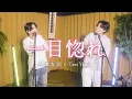 Lagu Tani Yuuki ×舟津真翔 / 一目惚れ 【コラボ】