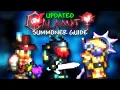 UPDATED Calamity Summoner Class Setups Progression Guide Version 2 0 4 003