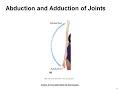 Mastering Medical Terminology Chapter 14 Skeletal System