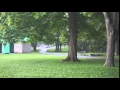 Rain Gif