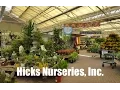Hicks Nurseries Inc in Westbury NY