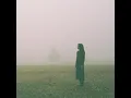Toma: Cerasus Fuyusakura