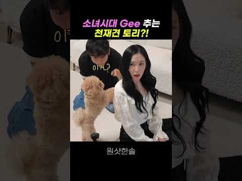 천재견 토리 개인기에 쓰러지는 티파니 반응