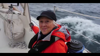 Newfoundland Circle Part 4   Chapter 2