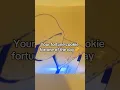 Download Lagu Your Fortune Cookie Fortune 🥠 #art #cookies