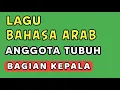 Download Lagu Lagu Anggota tubuh bagian kepala dalam bahasa arab